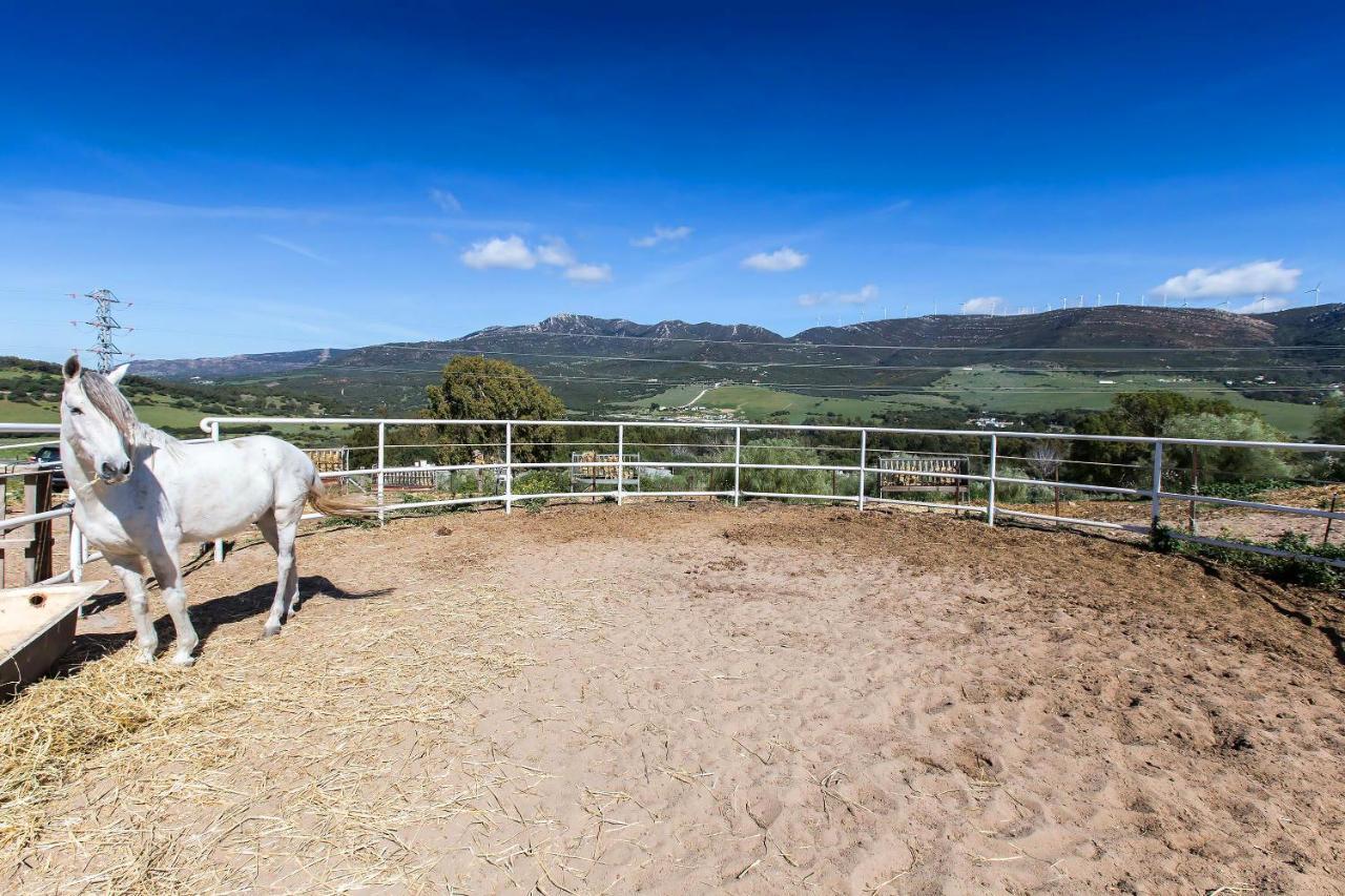 Casita Rural En Centro De Hipica Apartment ตาริฟา ภายนอก รูปภาพ